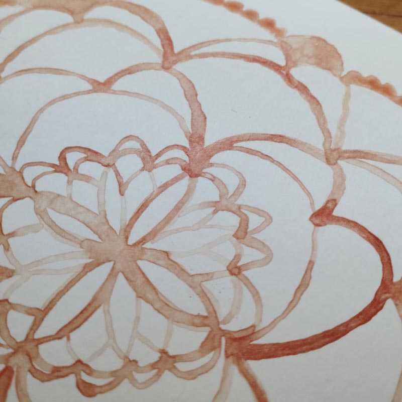 Ilustraciones a mano e insumos de Innatura